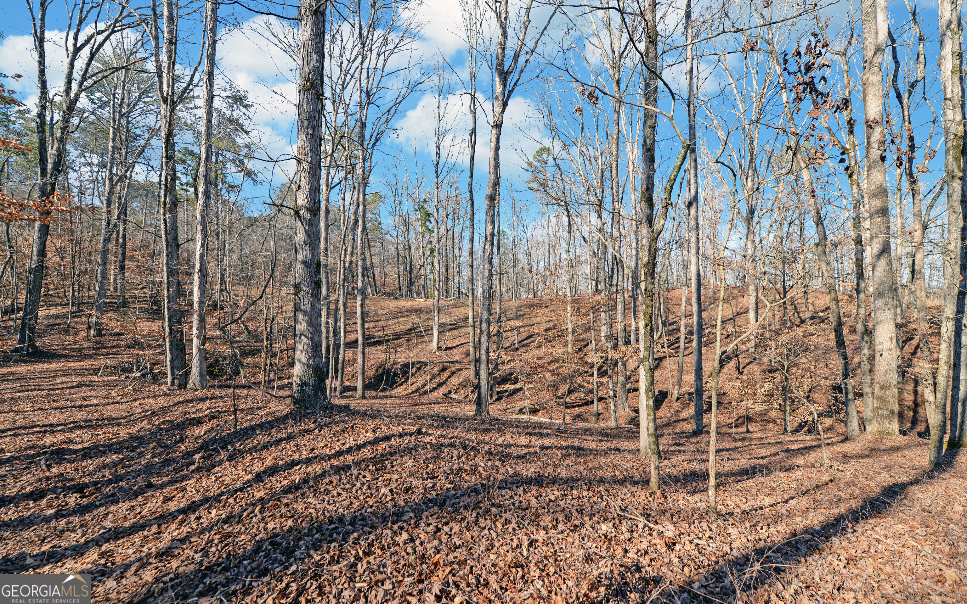 4431 Jim Hood Road Gainesville, GA 30506 - Photo 31 of 33 a view of a backyard with trees