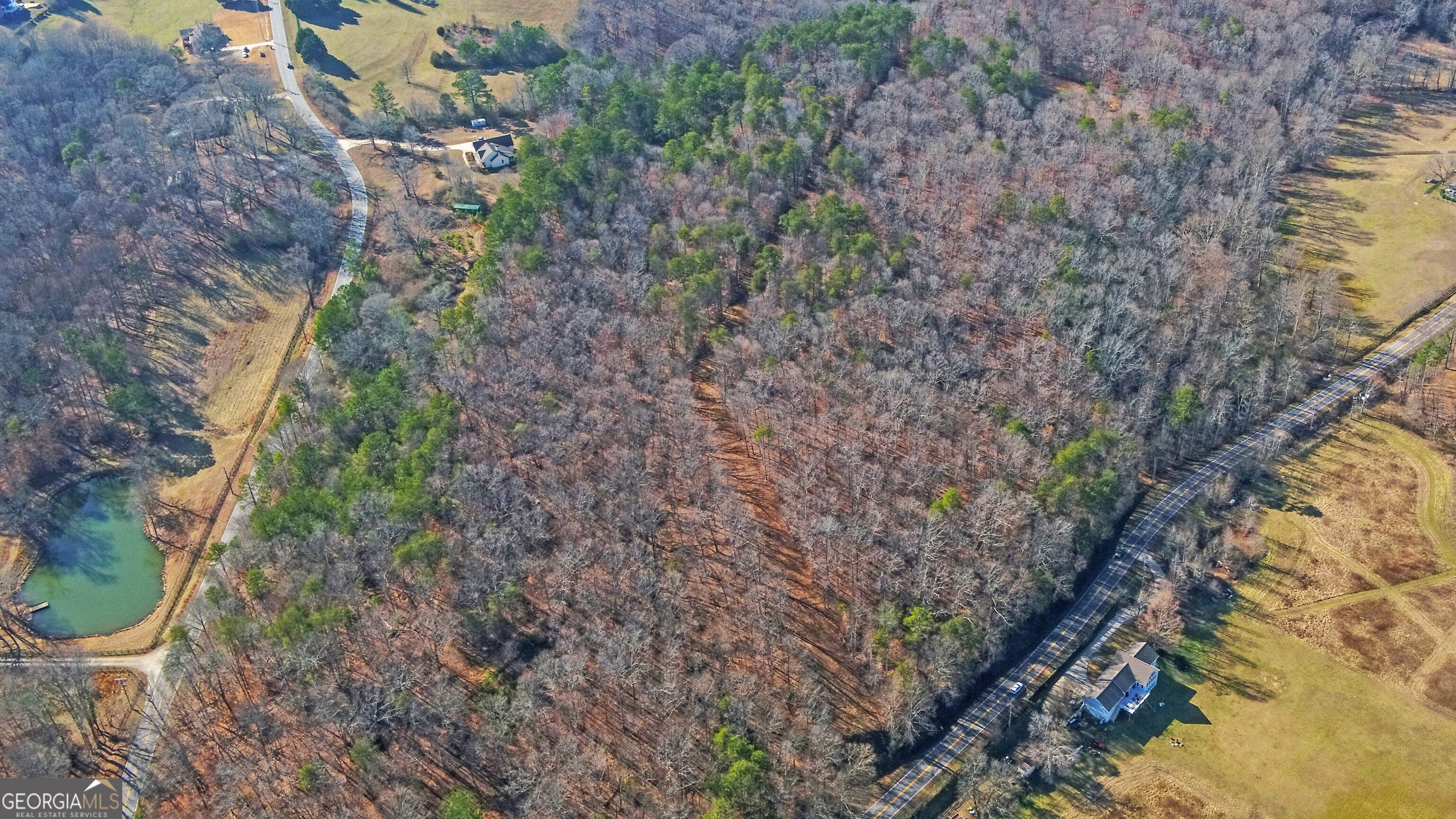 4431 Jim Hood Road Gainesville, GA 30506 - Photo 4 of 33