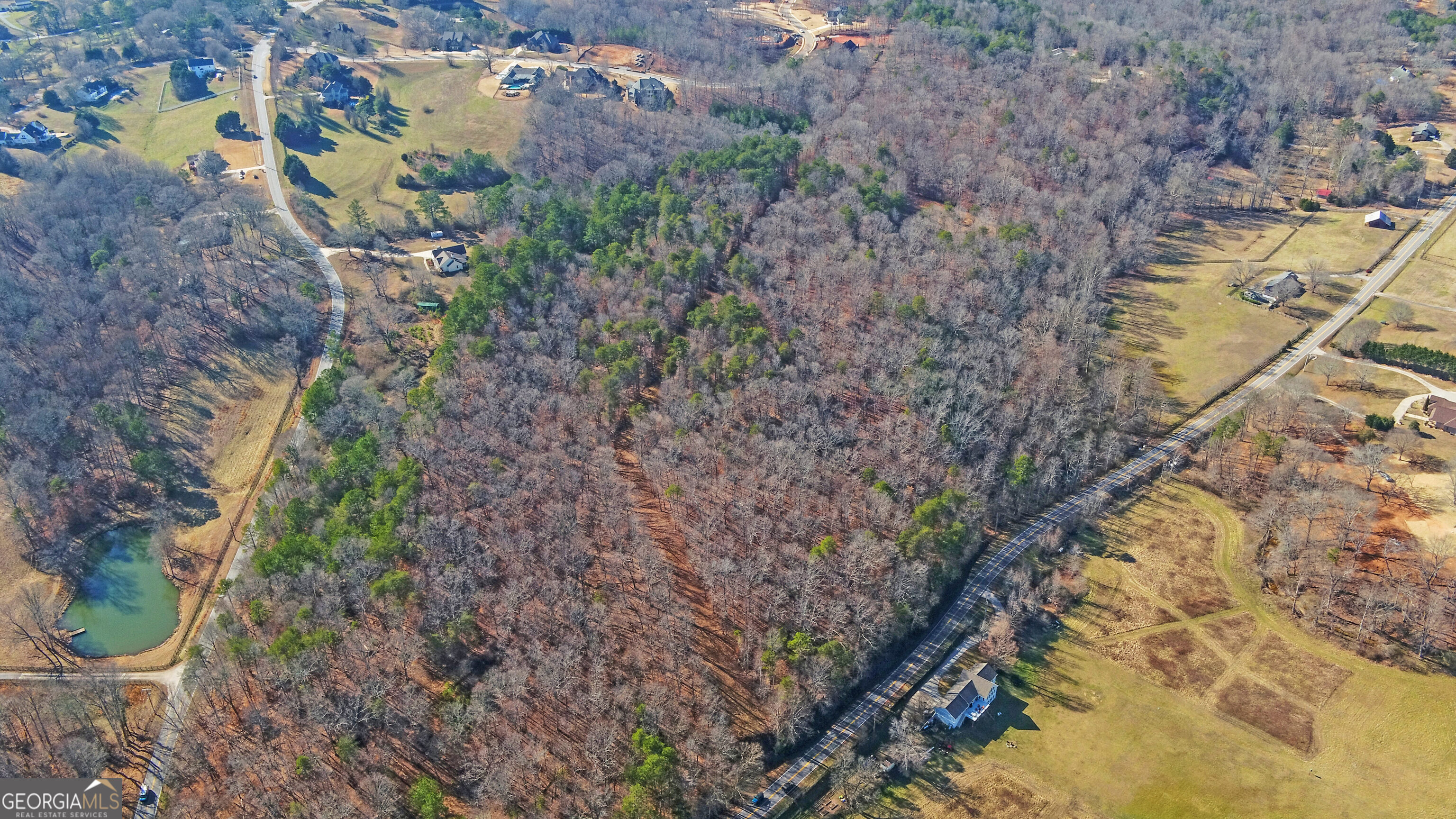 4431 Jim Hood Road Gainesville, GA 30506 - Photo 5 of 33 a view of a yard with plants and large trees