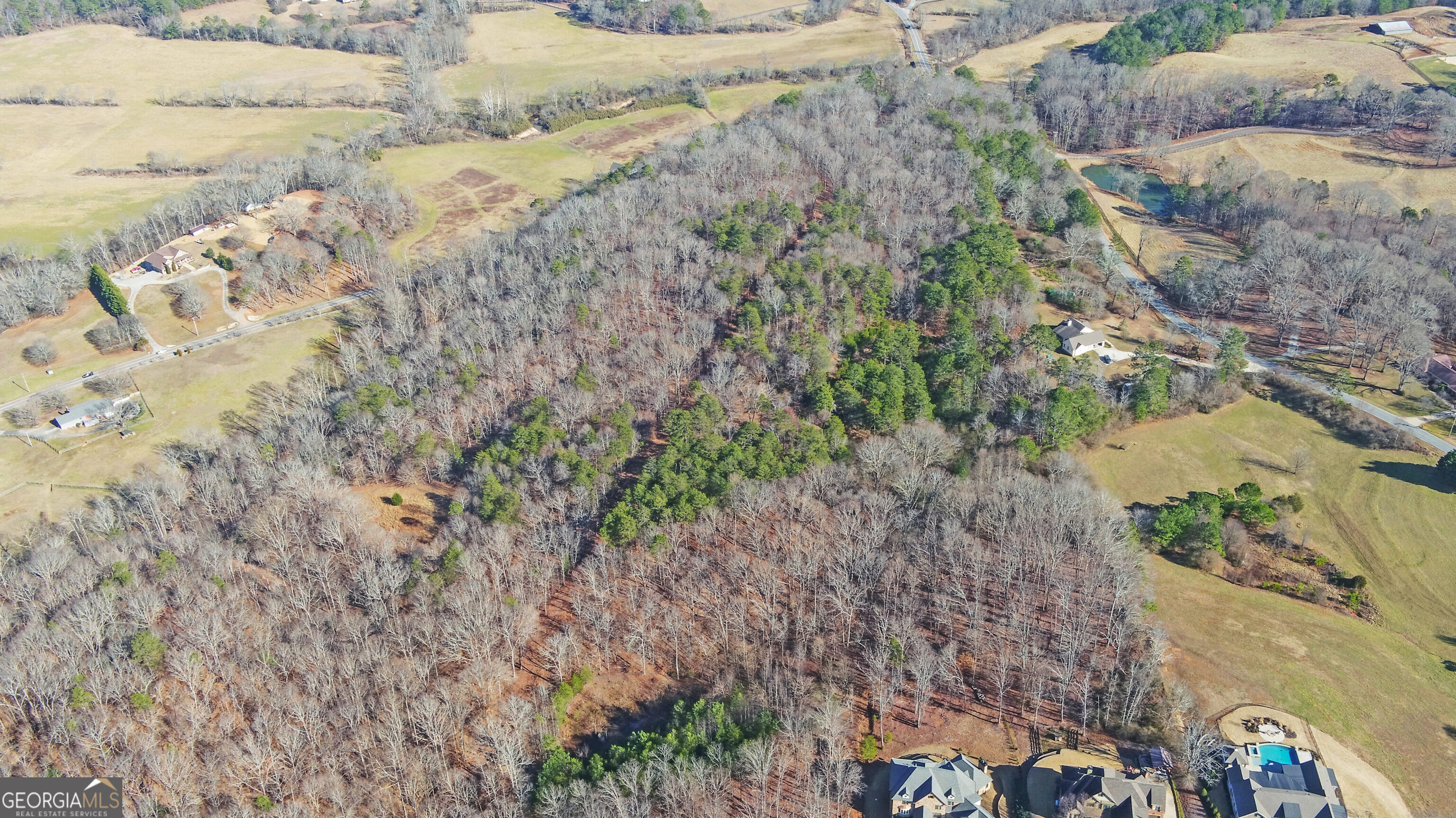 4431 Jim Hood Road Gainesville, GA 30506 - Photo 6 of 33 a view of a yard with plants