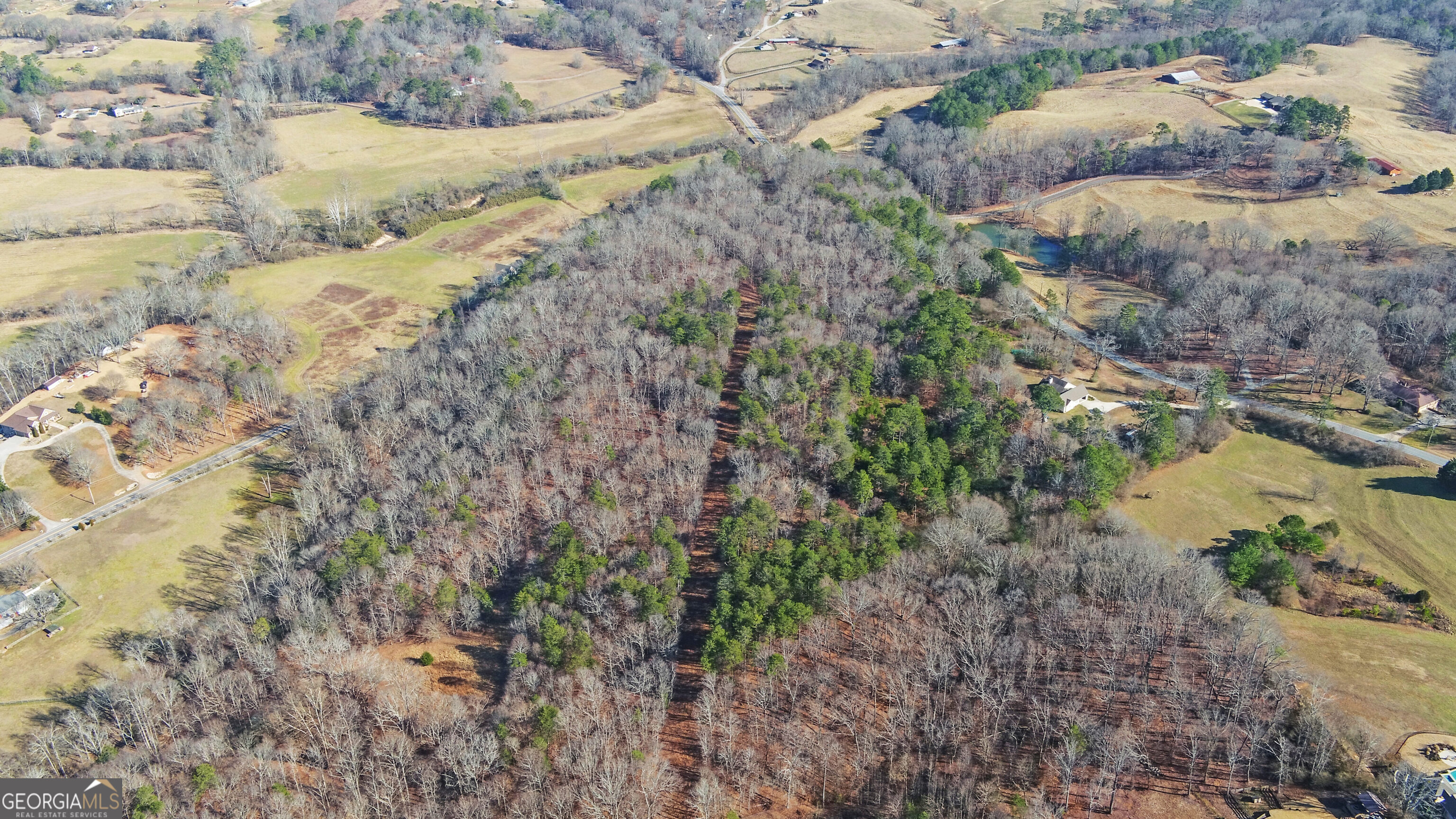 4431 Jim Hood Road Gainesville, GA 30506 - Photo 7 of 33 a view of a lake with mountain