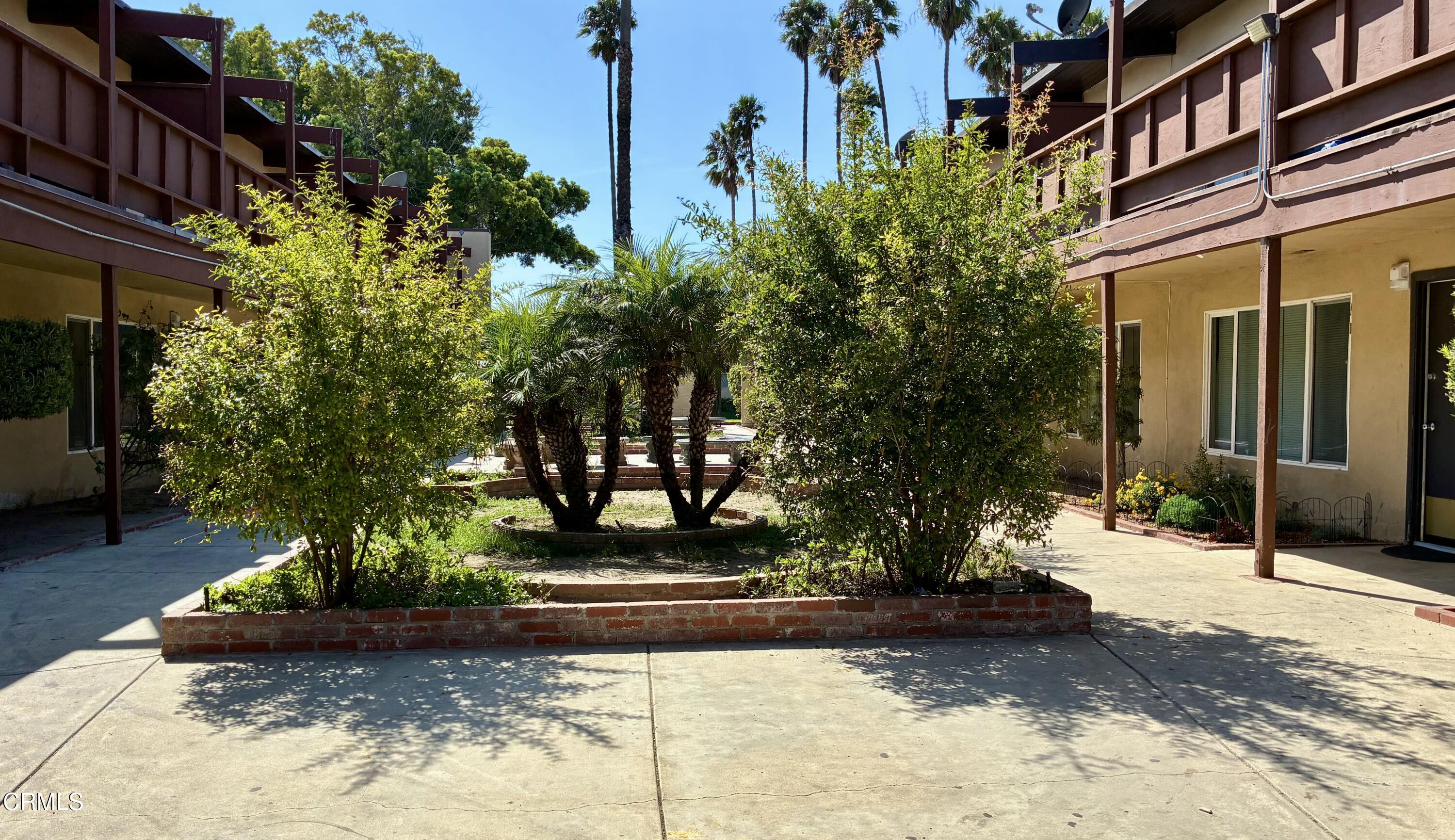 a view of a yard with plants and large trees