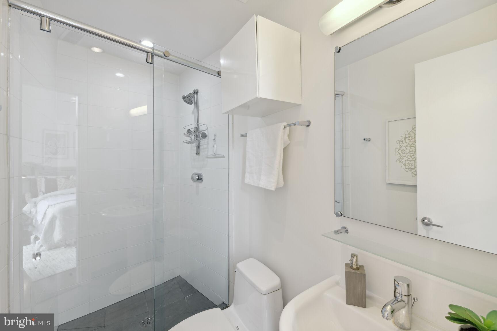 2426 Ontario Road Northwest, Unit 304 Washington, DC 20009 - Photo 20 of 43 En Suite Full Bath
