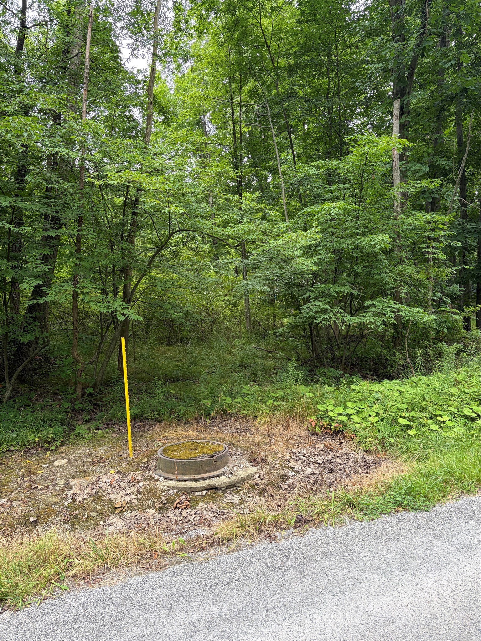Penn Road Jamestown, PA 16134 - Photo 3 of 5
