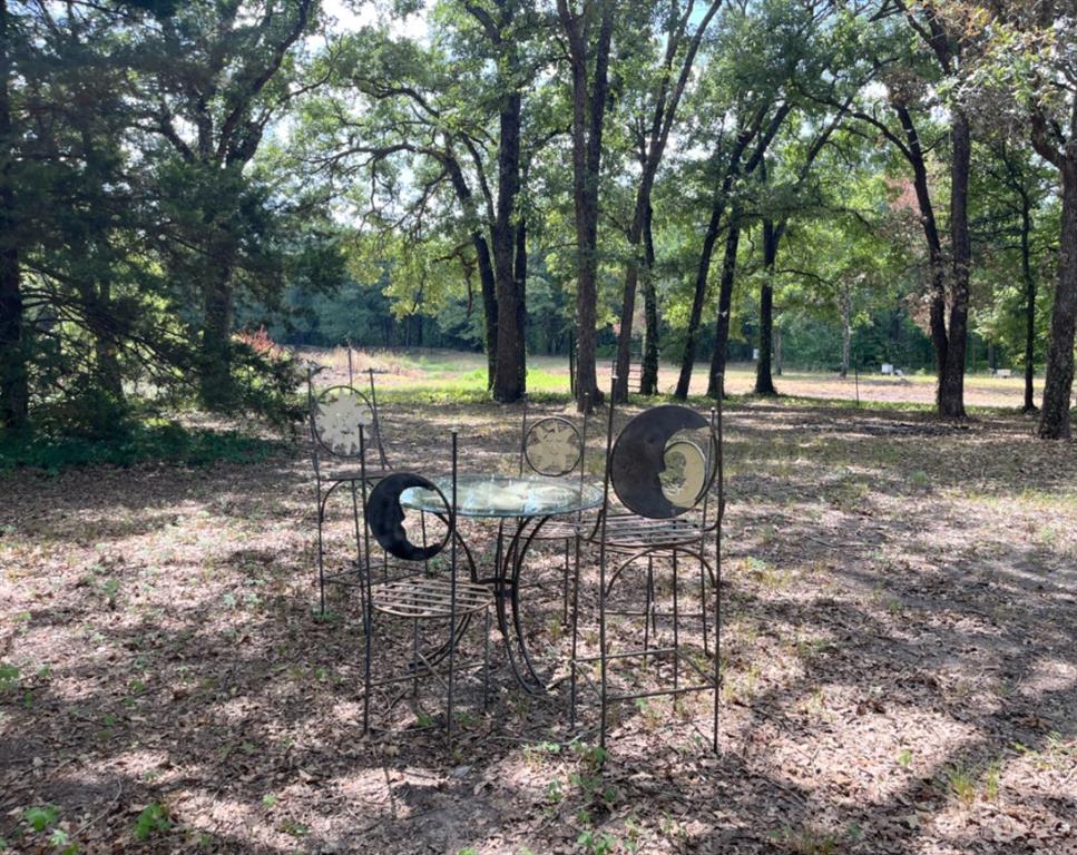 1038 Sandy Oaks Road Quinlan, TX 75474 - Photo 21 of 23