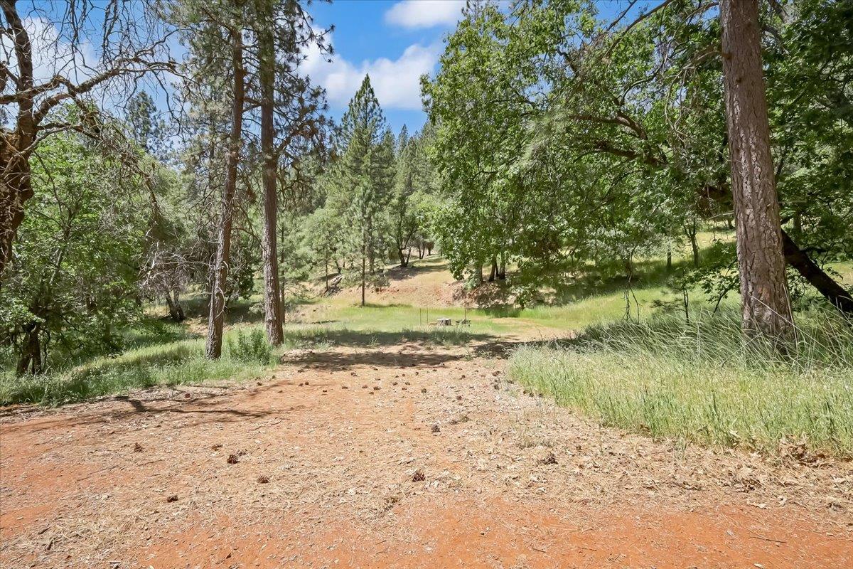 14818 Willow Glen Road Rackerby, CA 95972 - Photo 11 of 72 a view of dirt road with a building in the background