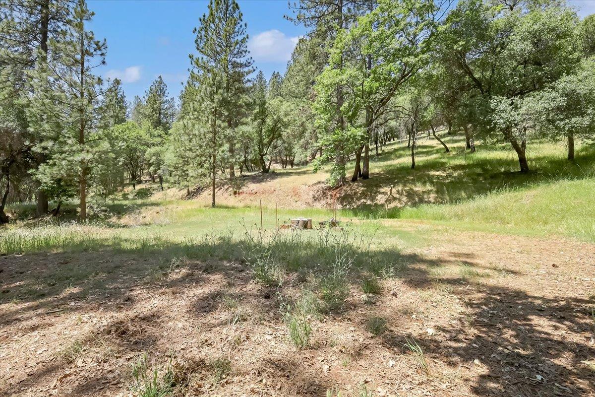 14818 Willow Glen Road Rackerby, CA 95972 - Photo 12 of 72 a view of a yard with a tree