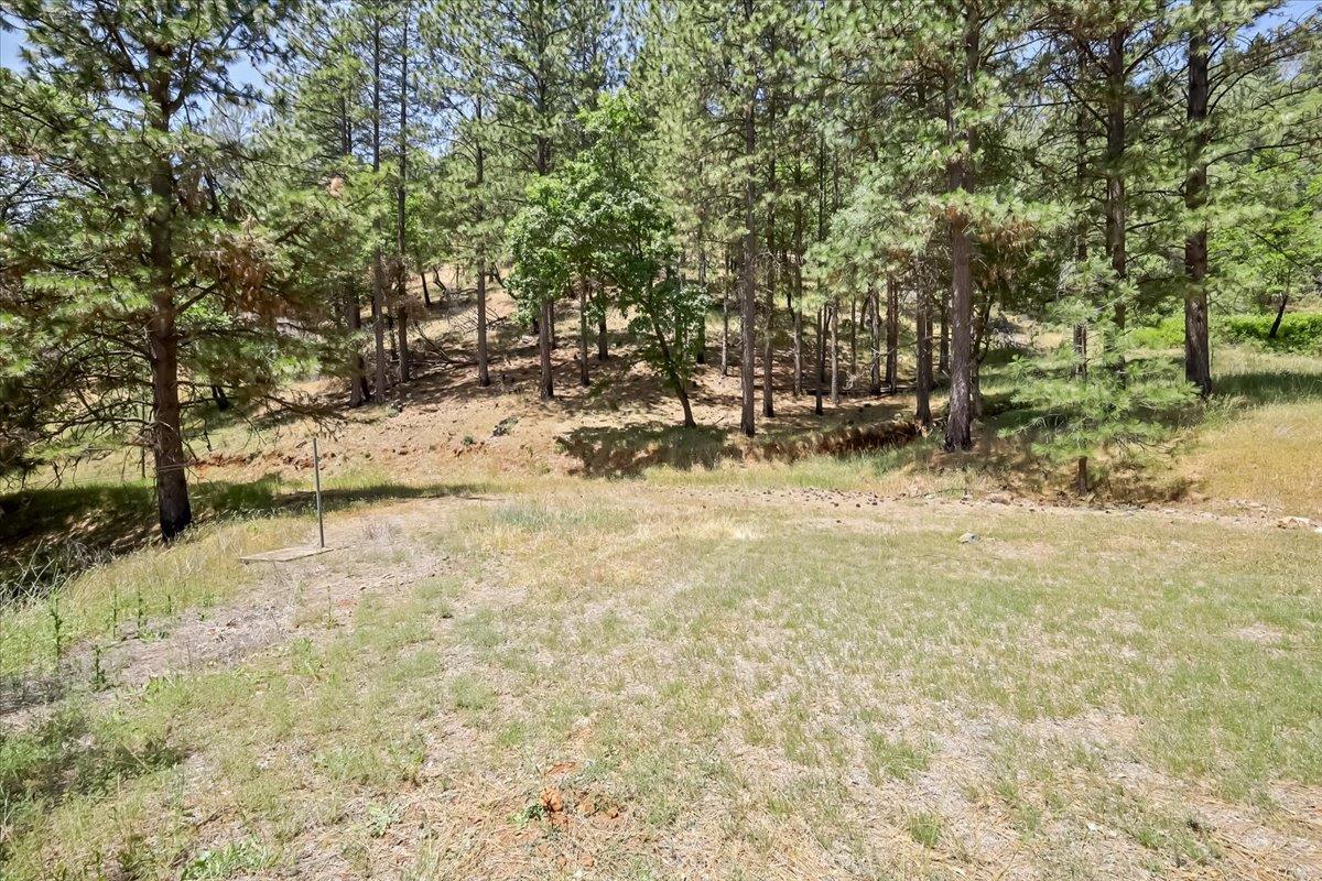 14818 Willow Glen Road Rackerby, CA 95972 - Photo 13 of 72