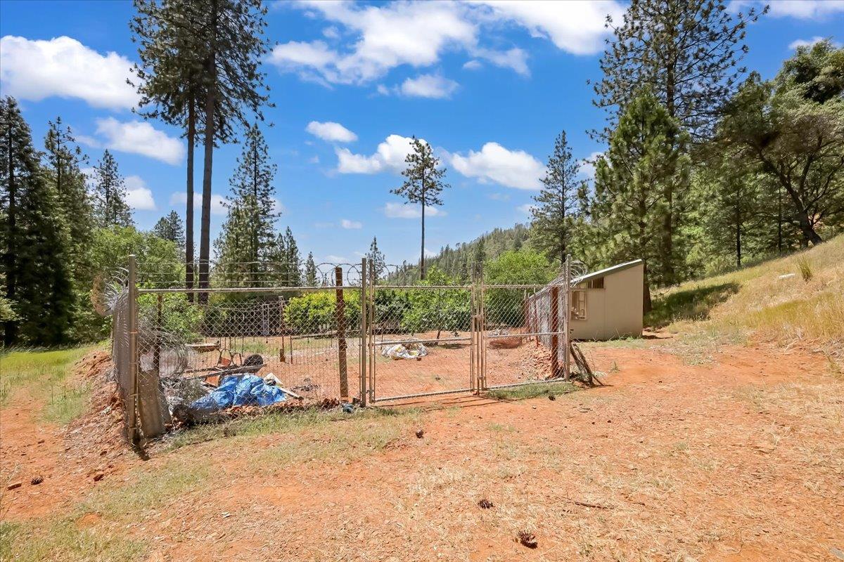 14818 Willow Glen Road Rackerby, CA 95972 - Photo 14 of 72