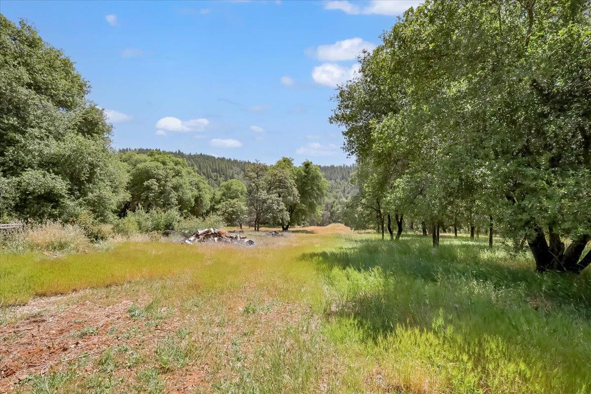 14818 Willow Glen Road Rackerby, CA 95972 - Photo 15 of 72 a view of an ocean from a yard