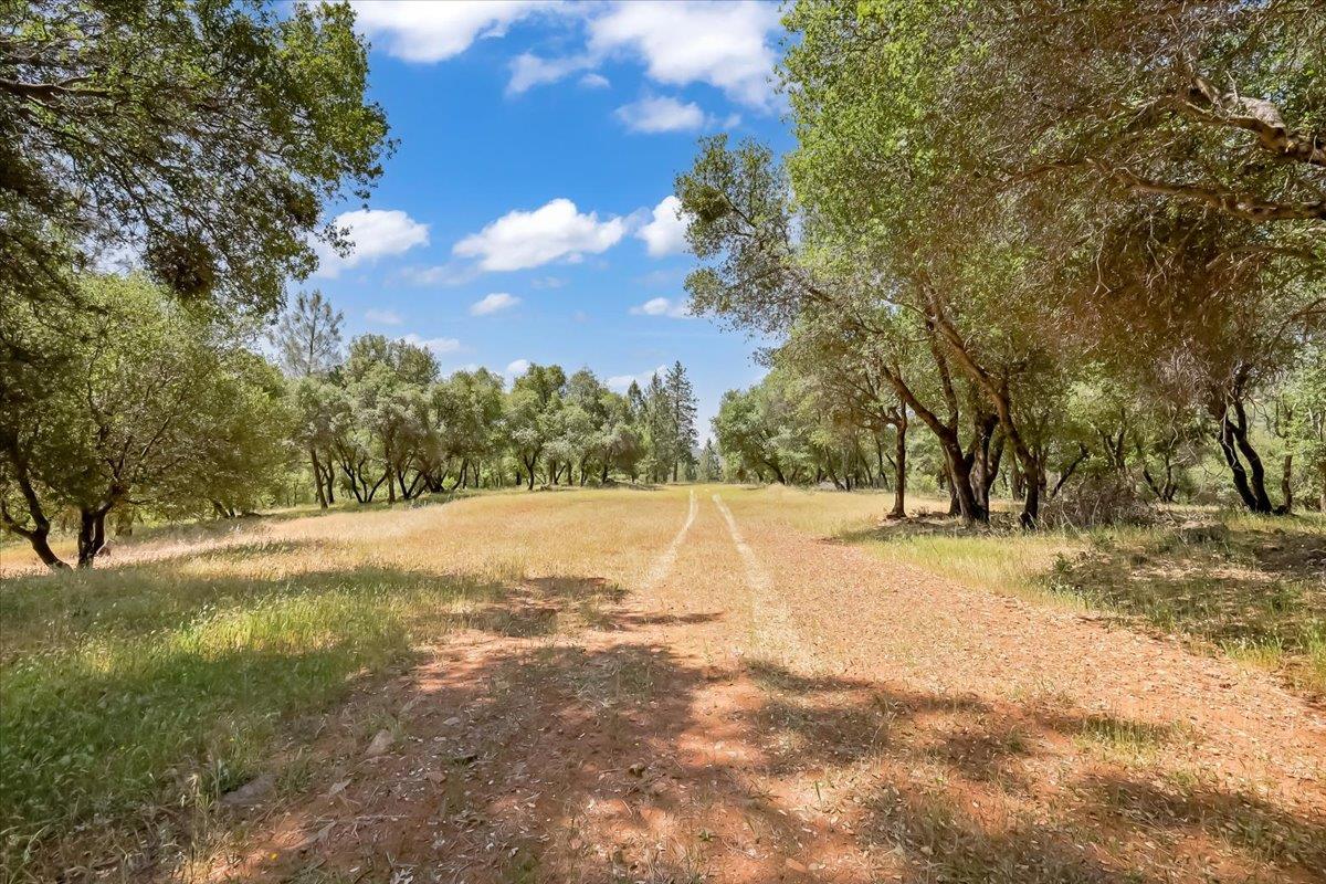 14818 Willow Glen Road Rackerby, CA 95972 - Photo 18 of 72