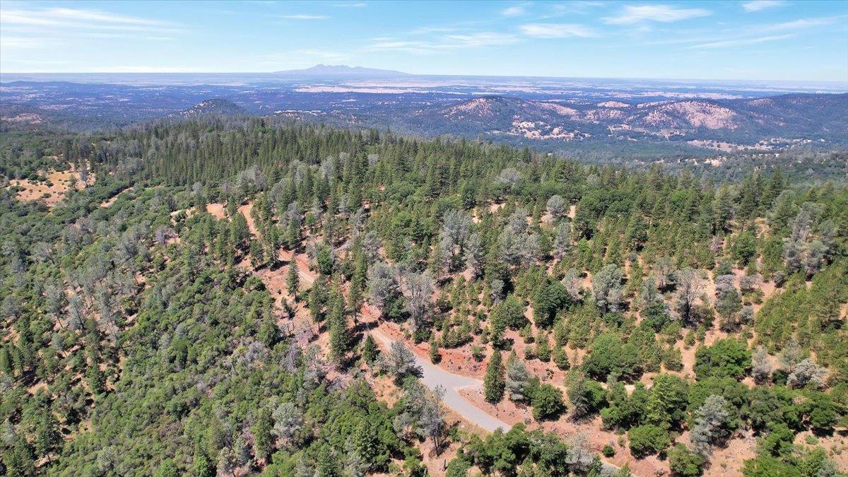 14818 Willow Glen Road Rackerby, CA 95972 - Photo 20 of 72 a view of a city with lush green forest