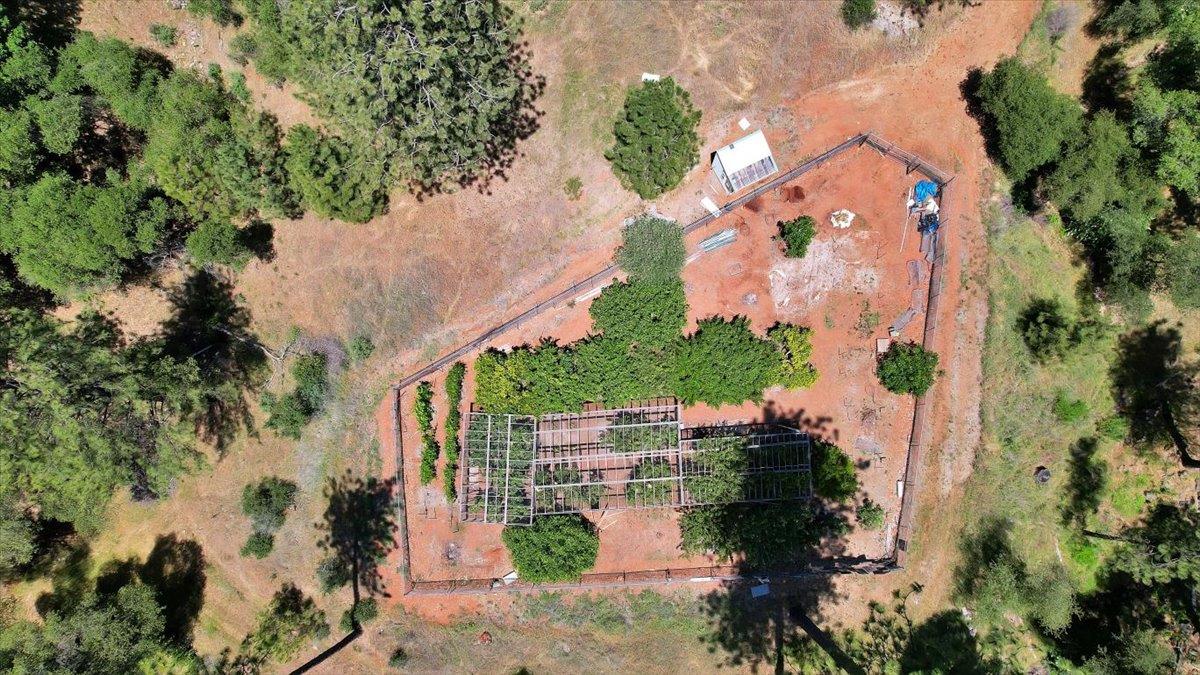 14818 Willow Glen Road Rackerby, CA 95972 - Photo 21 of 72 an aerial view of a house with a yard and garden