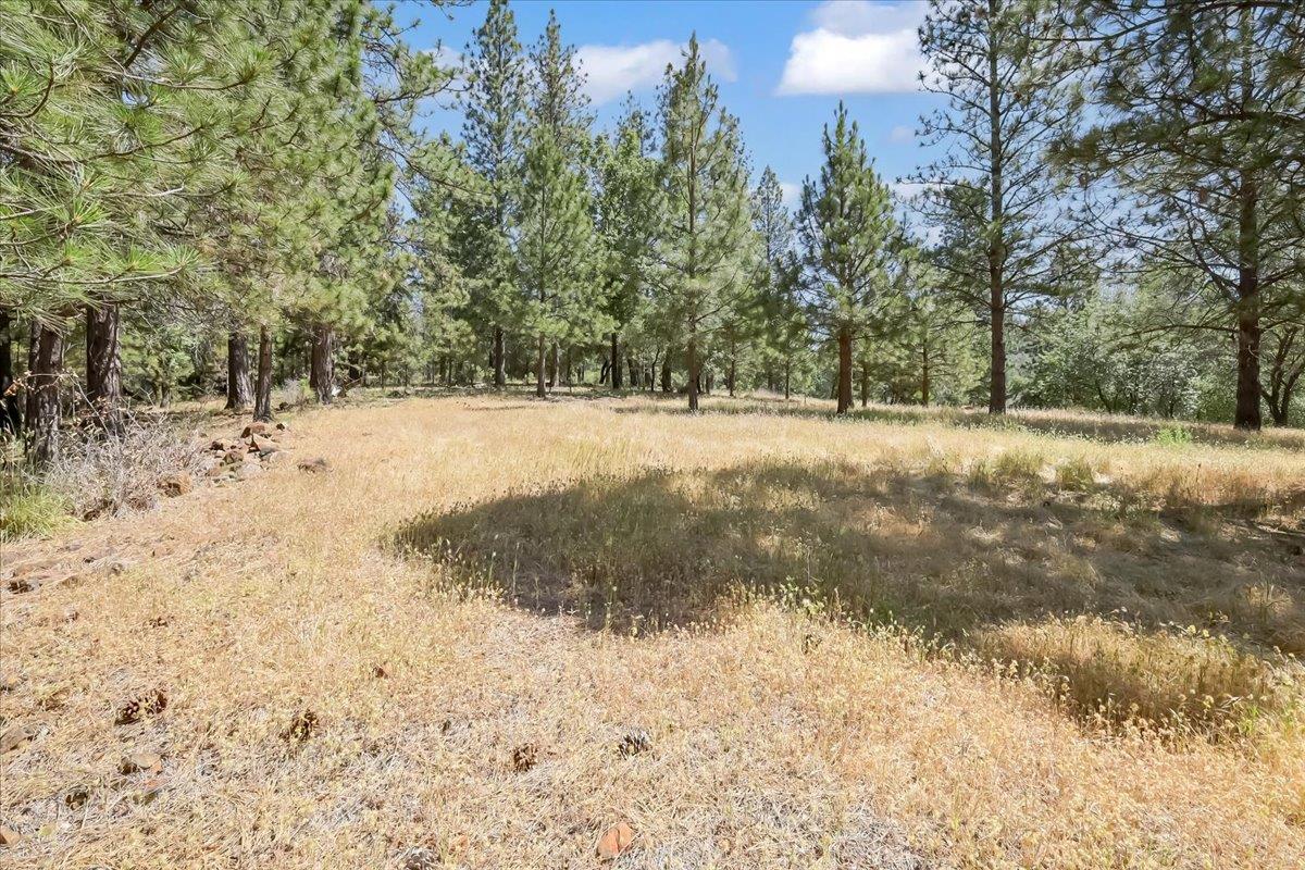 14818 Willow Glen Road Rackerby, CA 95972 - Photo 22 of 72