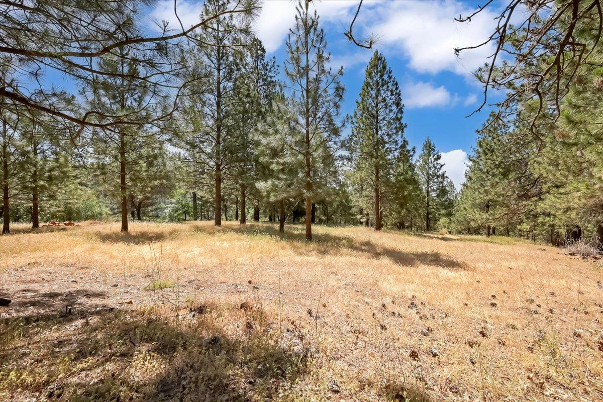 14818 Willow Glen Road Rackerby, CA 95972 - Photo 23 of 72 a view of empty space yard and trees