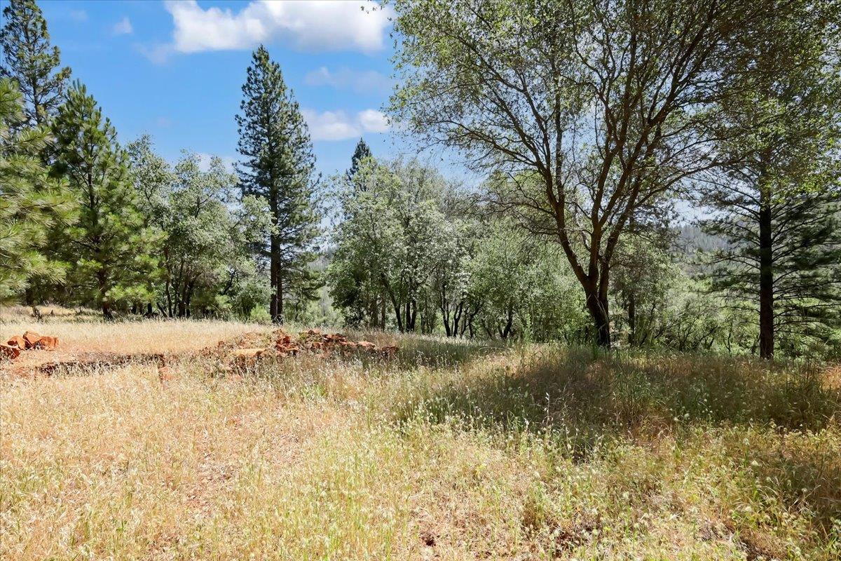 14818 Willow Glen Road Rackerby, CA 95972 - Photo 26 of 72 a view of a lake view