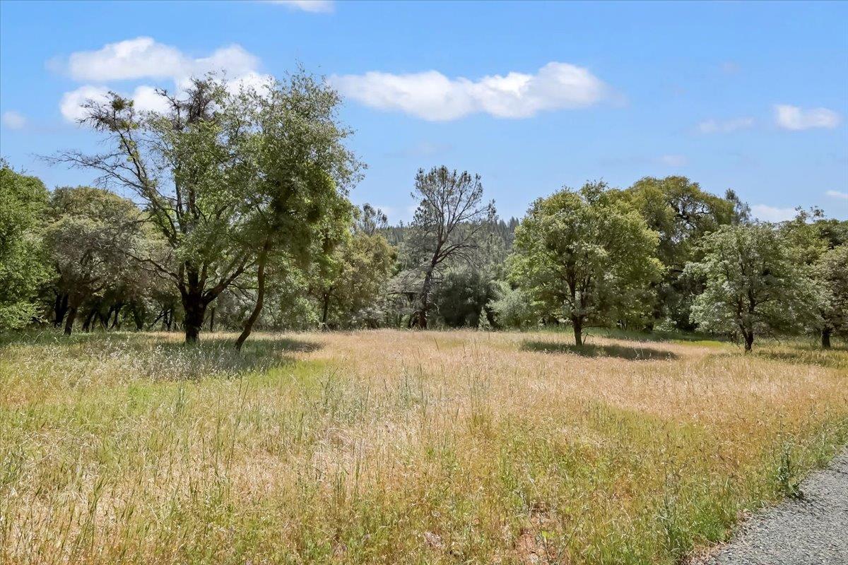 14818 Willow Glen Road Rackerby, CA 95972 - Photo 28 of 72 a backyard of a house with lots of green space