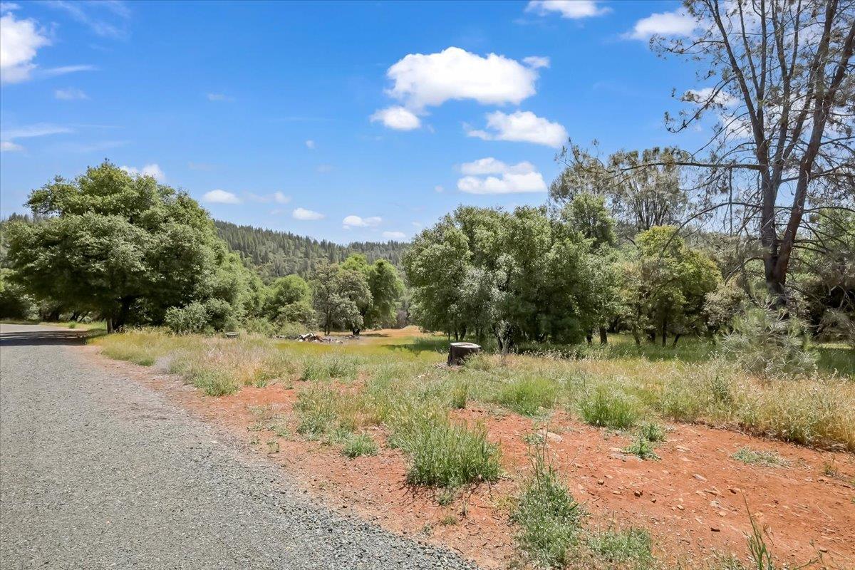 14818 Willow Glen Road Rackerby, CA 95972 - Photo 29 of 72 a view of a yard with a tree