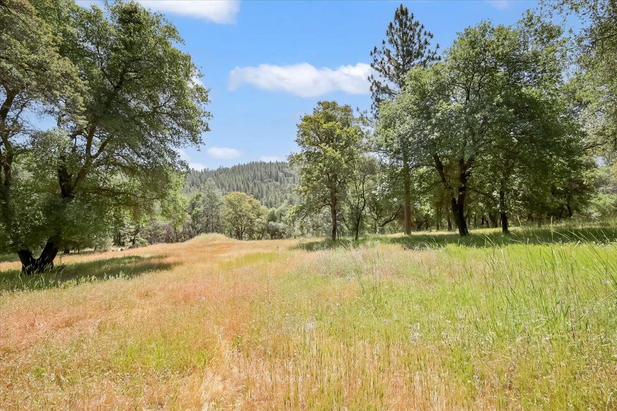 14818 Willow Glen Road Rackerby, CA 95972 - Photo 30 of 72