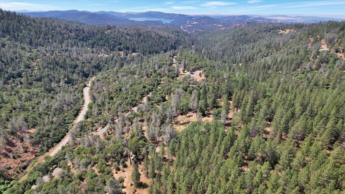 14818 Willow Glen Road Rackerby, CA 95972 - Photo 3 of 72 a view of a lush green field