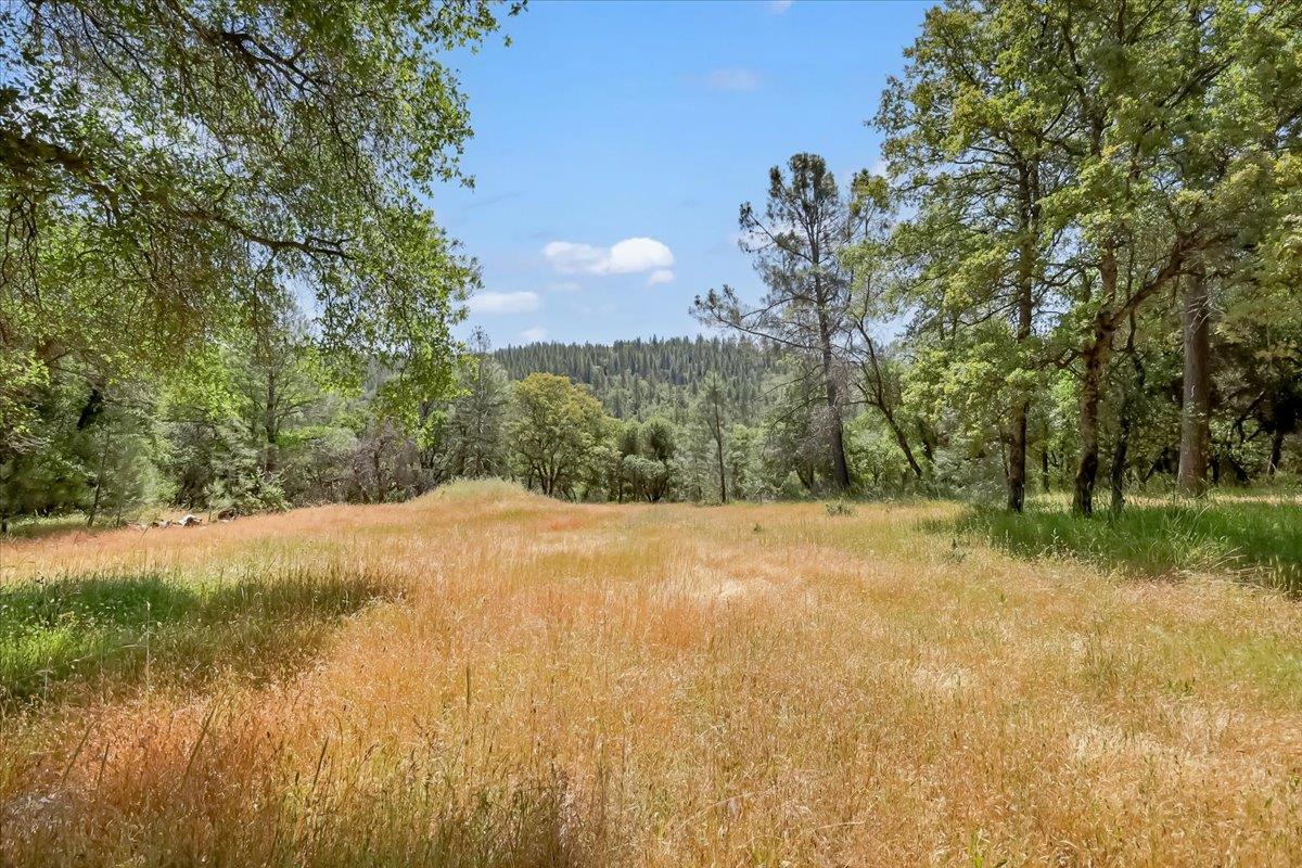 14818 Willow Glen Road Rackerby, CA 95972 - Photo 31 of 72