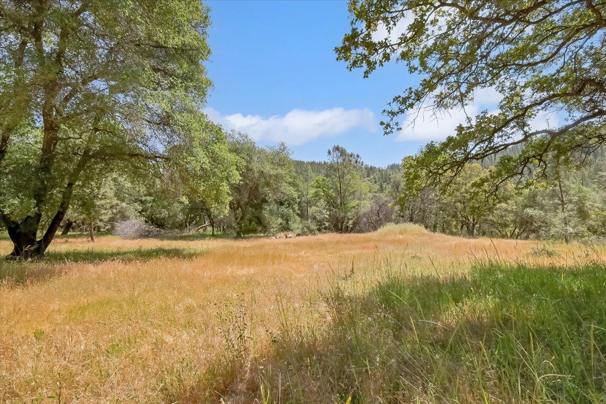 14818 Willow Glen Road Rackerby, CA 95972 - Photo 32 of 72