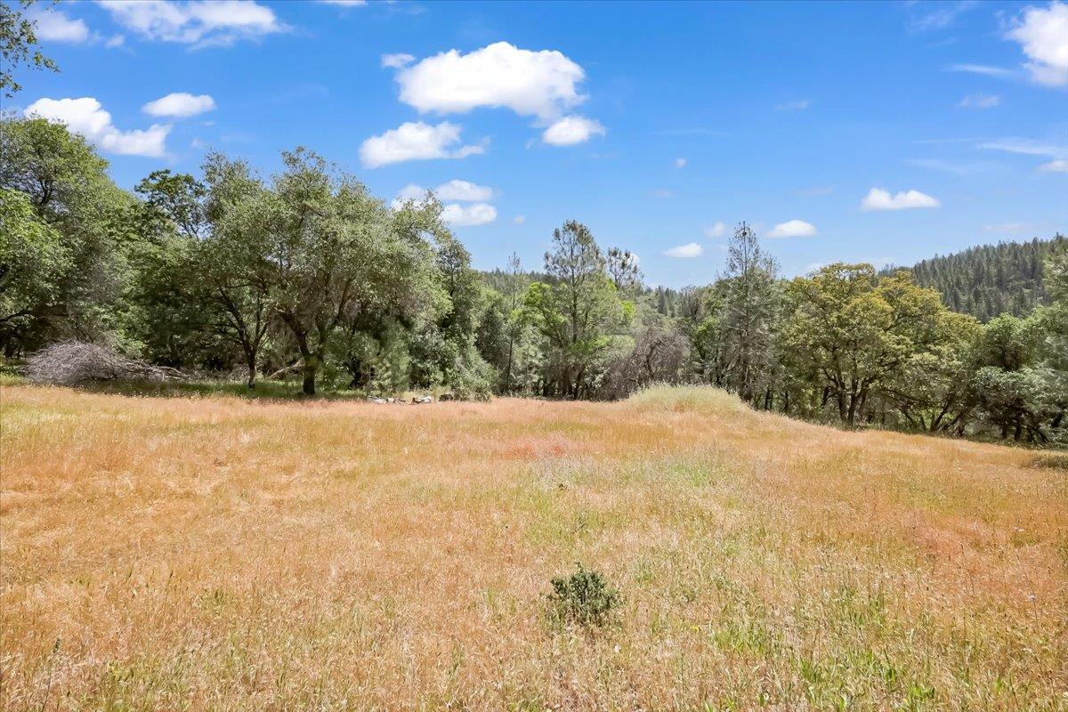 14818 Willow Glen Road Rackerby, CA 95972 - Photo 33 of 72