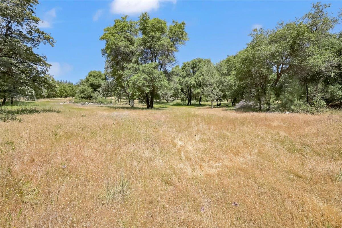 14818 Willow Glen Road Rackerby, CA 95972 - Photo 34 of 72 a view of an ocean with a yard