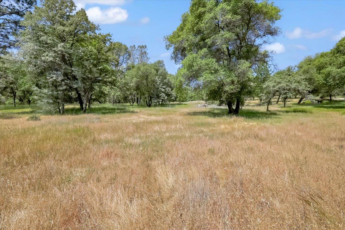 14818 Willow Glen Road Rackerby, CA 95972 - Photo 35 of 72 a backyard of a house with lots of green space