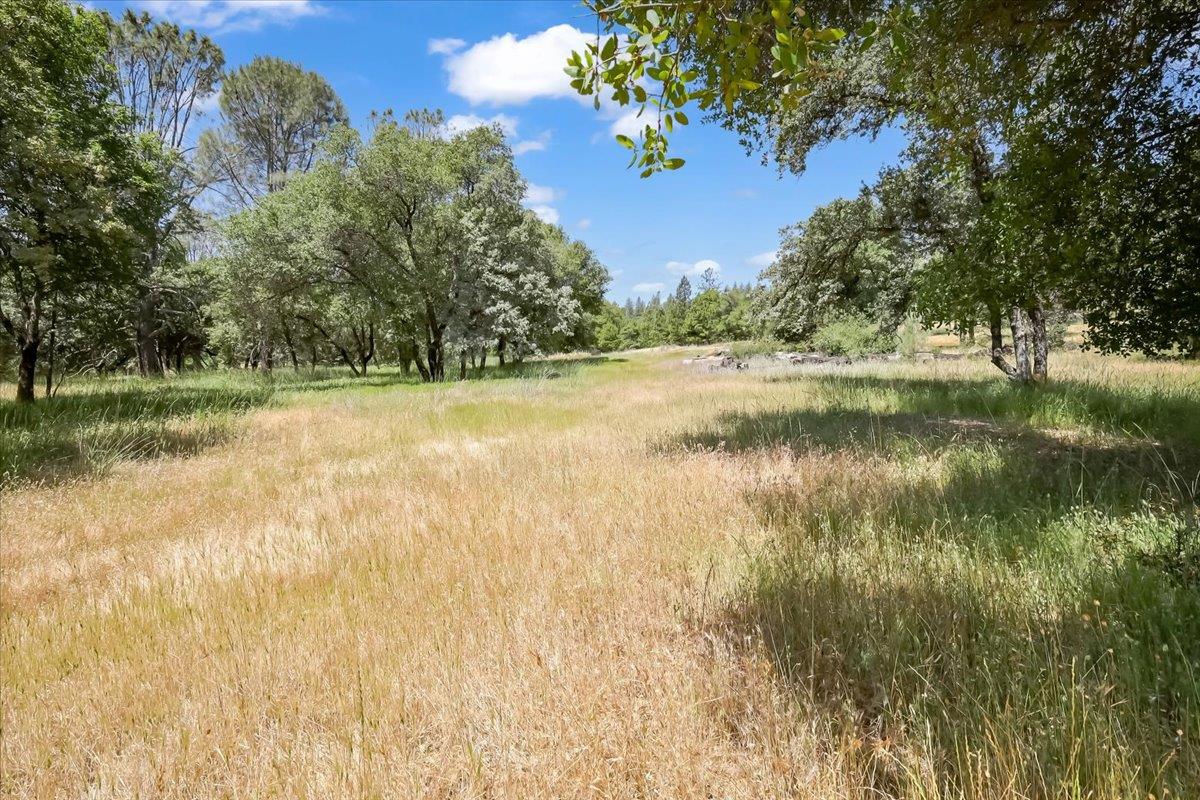 14818 Willow Glen Road Rackerby, CA 95972 - Photo 36 of 72 a view of a lake with a yard