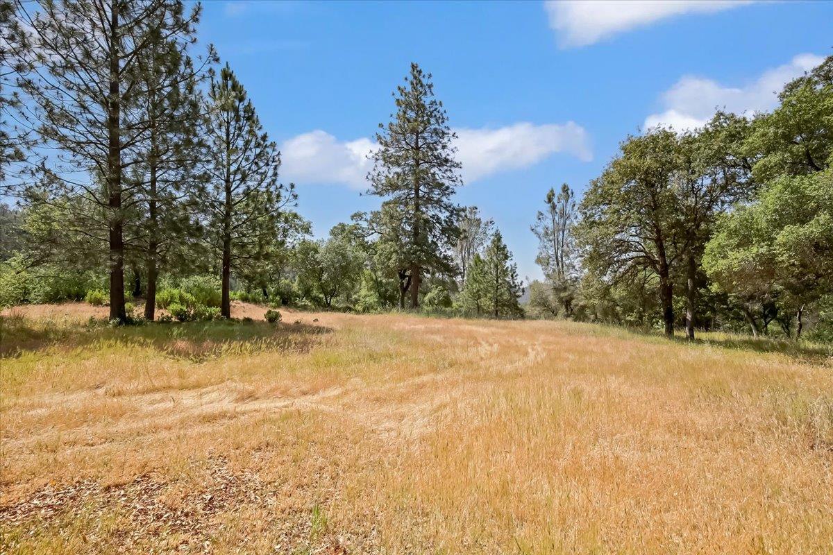 14818 Willow Glen Road Rackerby, CA 95972 - Photo 39 of 72