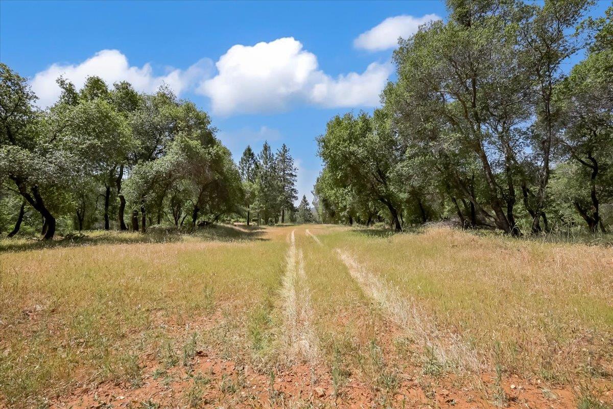 14818 Willow Glen Road Rackerby, CA 95972 - Photo 42 of 72