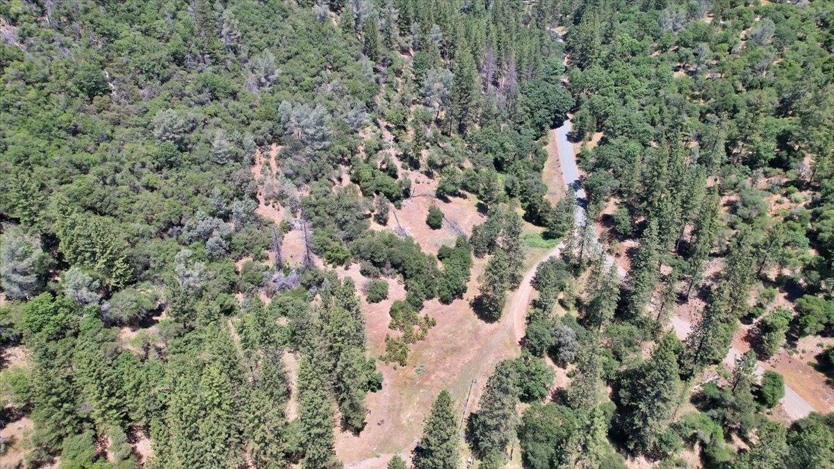 14818 Willow Glen Road Rackerby, CA 95972 - Photo 43 of 72