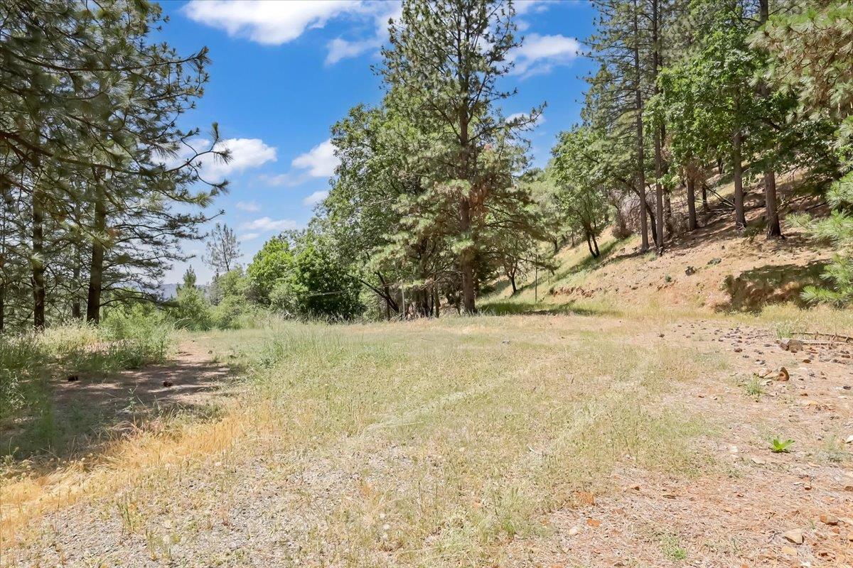 14818 Willow Glen Road Rackerby, CA 95972 - Photo 46 of 72 a view of a yard with trees