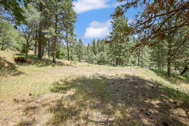 a view of dirt yard with a trees
