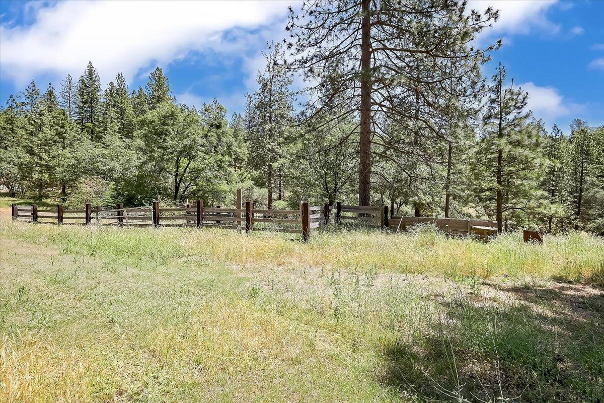 14818 Willow Glen Road Rackerby, CA 95972 - Photo 48 of 72 a view of outdoor space with trees all around
