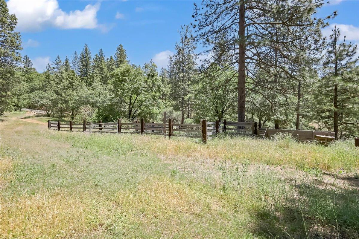 14818 Willow Glen Road Rackerby, CA 95972 - Photo 49 of 72 a view of outdoor space with trees