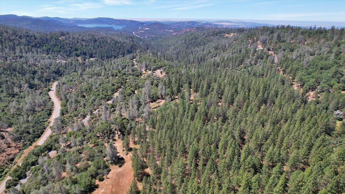 14818 Willow Glen Road Rackerby, CA 95972 - Photo 50 of 72 a view of a lush green hillside and a mountain