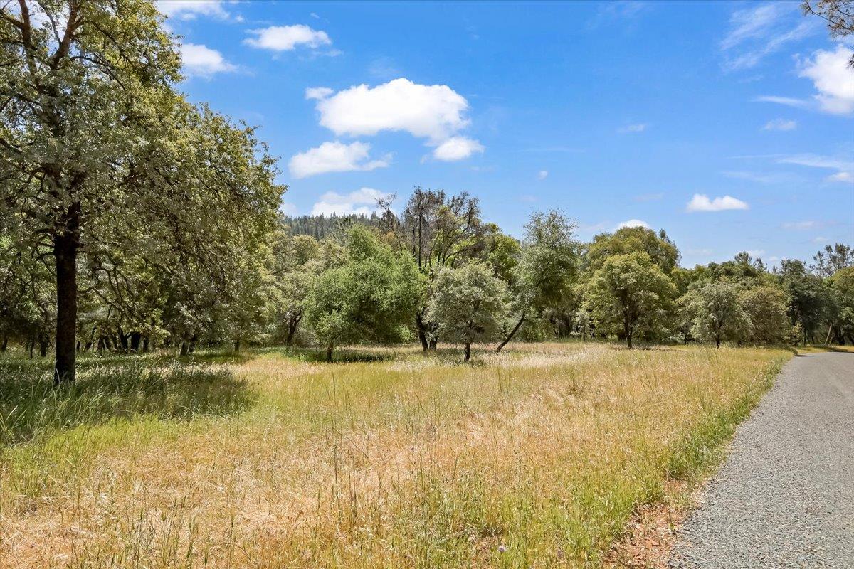 14818 Willow Glen Road Rackerby, CA 95972 - Photo 5 of 72 a view of lake view and mountain view