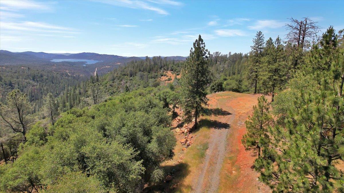 14818 Willow Glen Road Rackerby, CA 95972 - Photo 53 of 72 a view of a mountain in the distance in a field