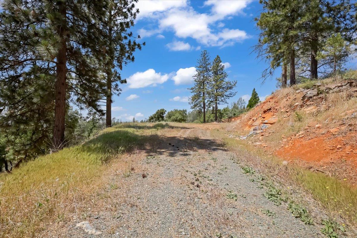 14818 Willow Glen Road Rackerby, CA 95972 - Photo 59 of 72 a view of a dirt yard with a tree