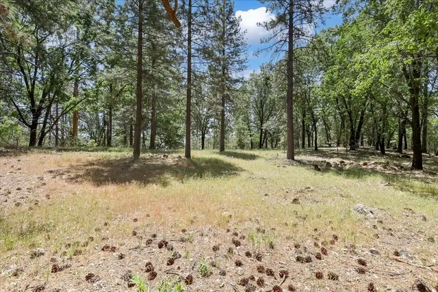 $713,023 | 14818 Willow Glen Road, Rackerby, CA 95972