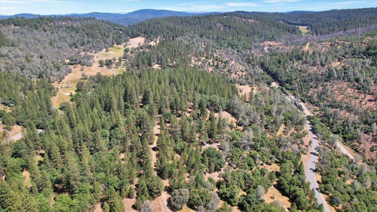 14818 Willow Glen Road Rackerby, CA 95972 - Photo 6 of 72