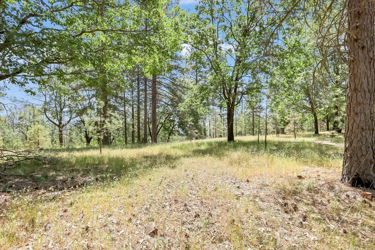 14818 Willow Glen Road Rackerby, CA 95972 - Photo 63 of 72