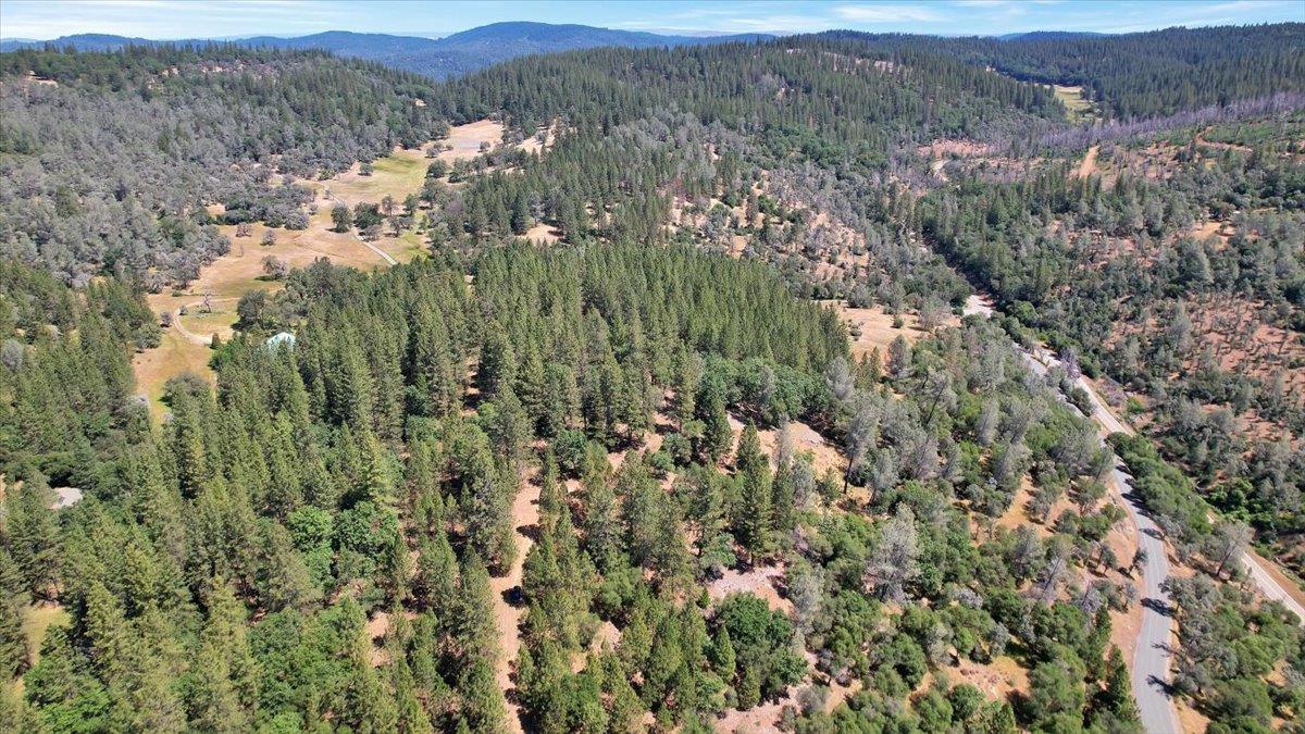 14818 Willow Glen Road Rackerby, CA 95972 - Photo 70 of 72 a view of a forest with mountains in the background