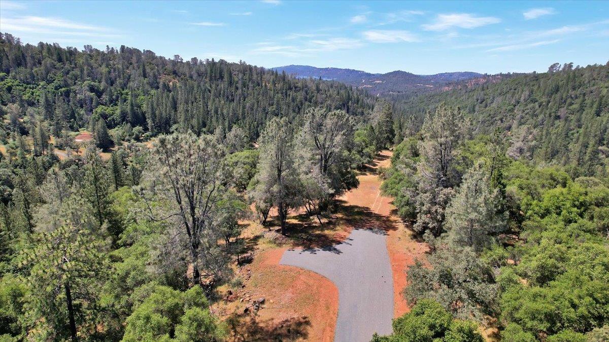 14818 Willow Glen Road Rackerby, CA 95972 - Photo 7 of 72 a view of a forest with a forest