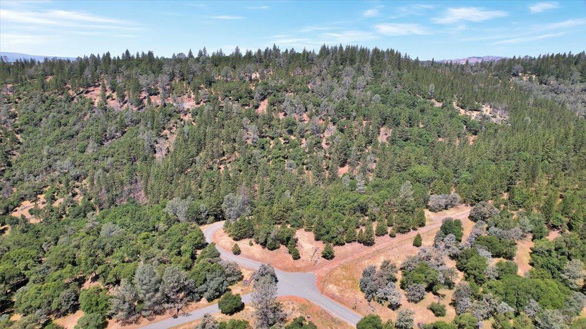 14818 Willow Glen Road Rackerby, CA 95972 - Photo 8 of 72