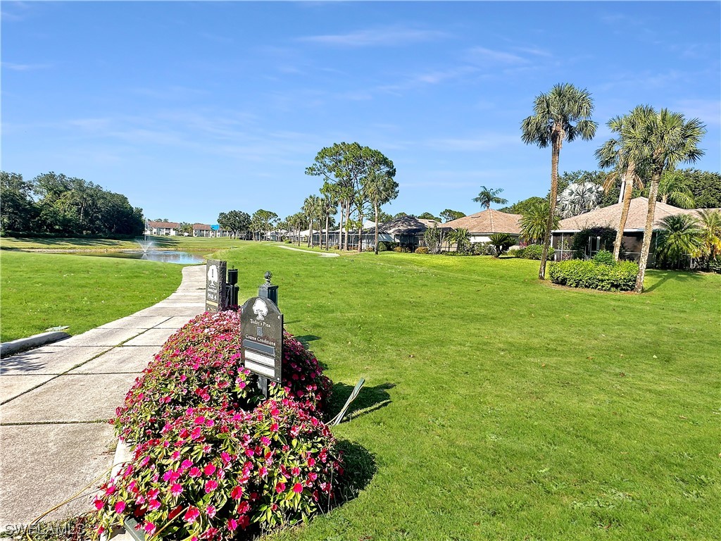 20631 Rivers Ford Estero, FL 33928 - Photo 18 of 18 a view of a garden with plants and large trees