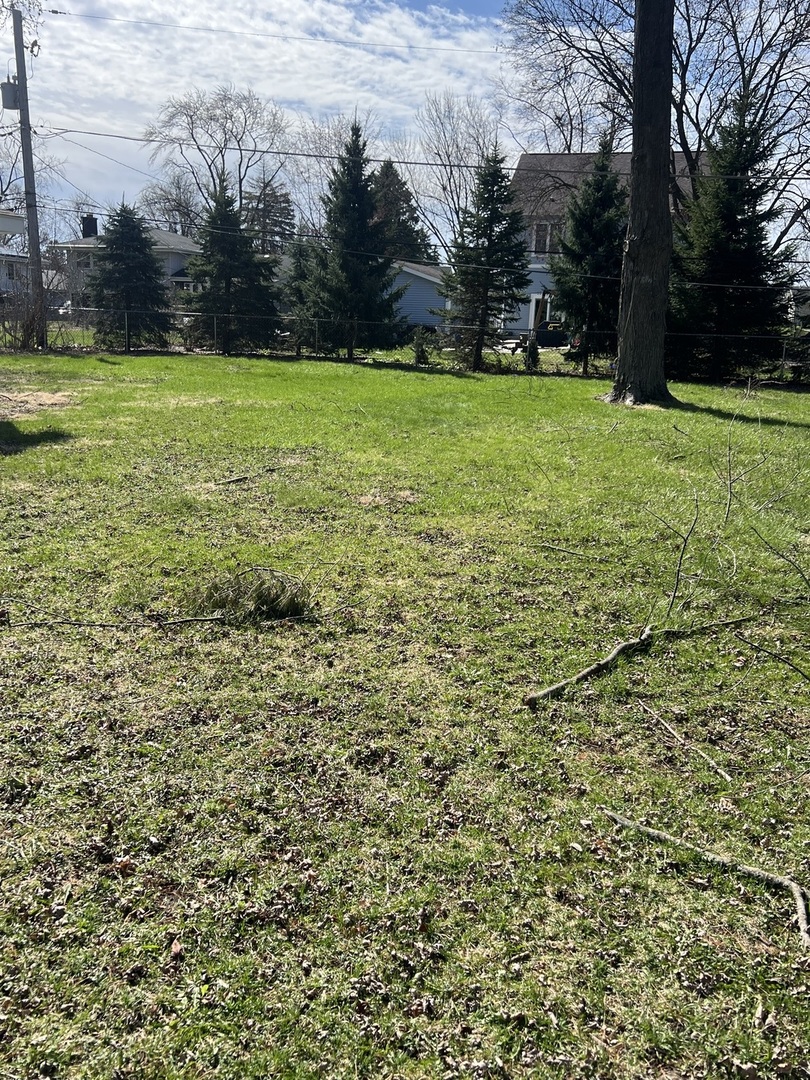 213 67th Street Darien, IL 60561 - Photo 11 of 13 a view of a field with an trees