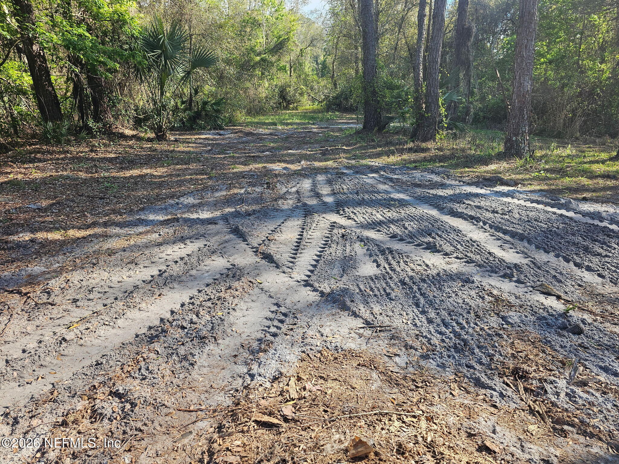 396 Stokes Landing Road Palatka, FL 32177 - Photo 2 of 8 a view of a yard with a tree